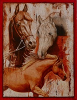 Study of horses 116x89 cm