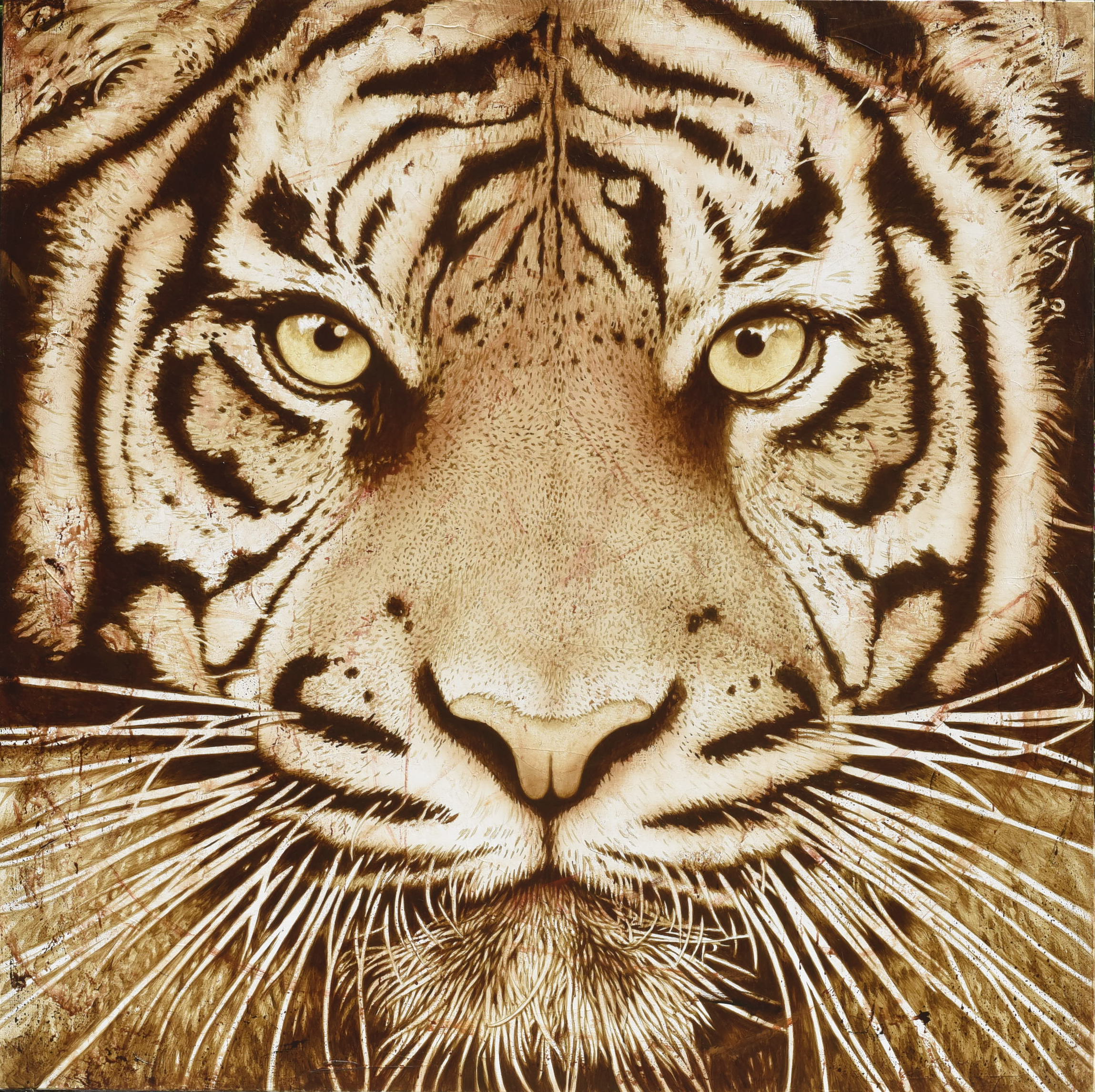 Tiger Pover 180x180  2022