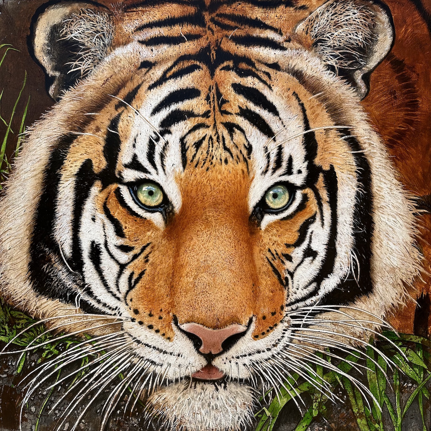 TIGRE MALAY 157 X 157 CM 2024