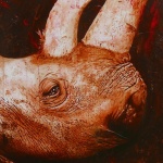 Painting the Rhino Portrait